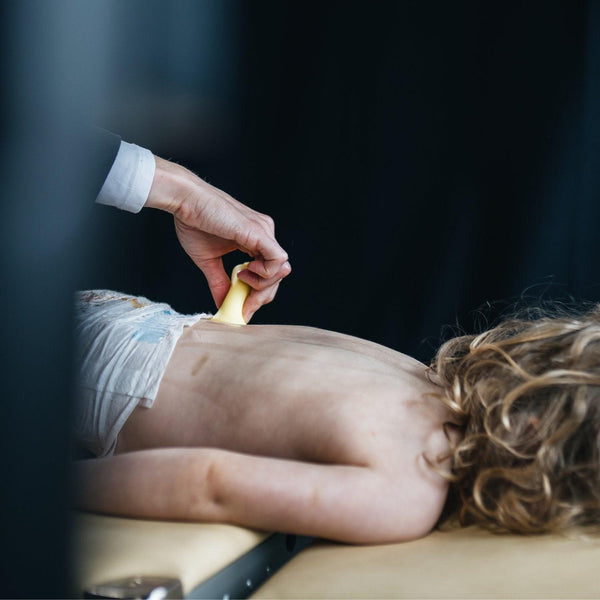 Kaiserschlüpfer Set COMPLETE