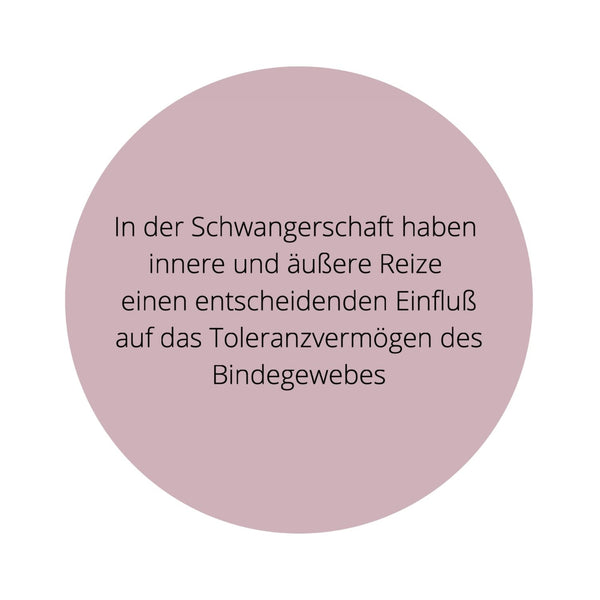 Seminar "Schwanger in Balance" mit Hebammen-Cupping-Set