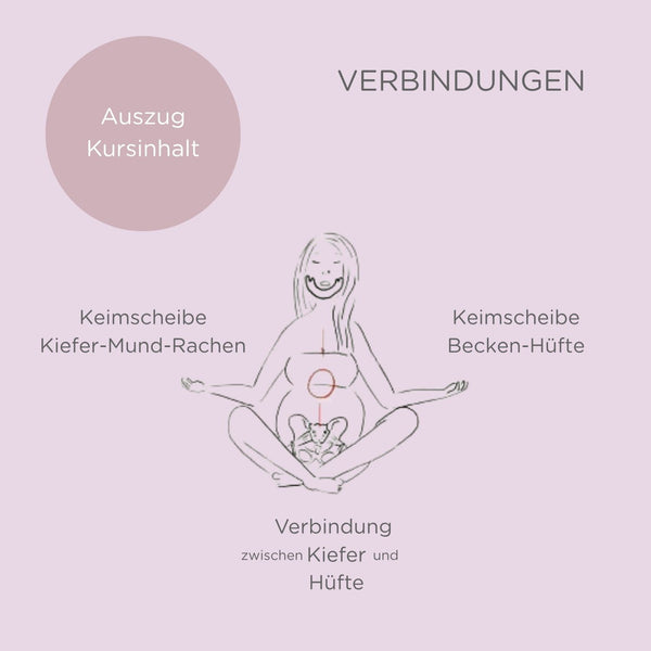 Seminar "Schwanger in Balance" mit Hebammen-Cupping-Set