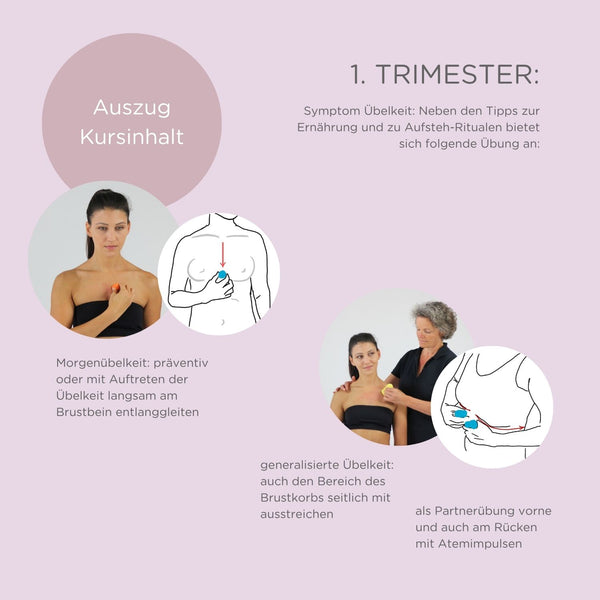 Seminar "Schwanger in Balance" mit Hebammen-Cupping-Set
