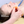 Cupping Starter-Set
